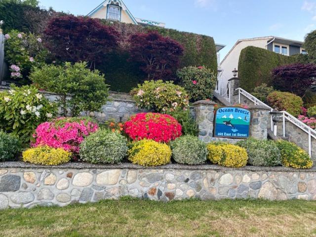 Ocean Breeze Executive Bed And Breakfast North Vancouver Zewnętrze zdjęcie